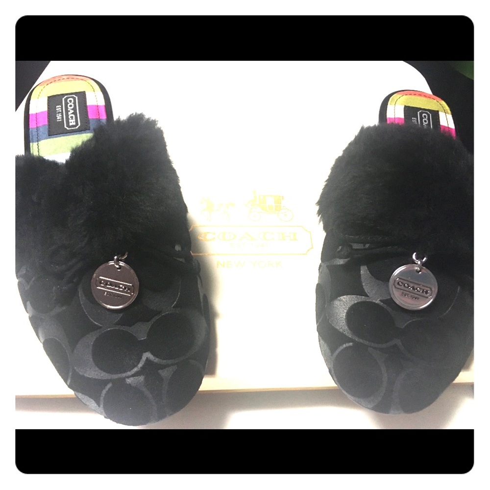Coach slides